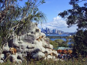 Blick vom Taronga Zoo auf Port Jackson und den CBD Sydney im Hintergrund