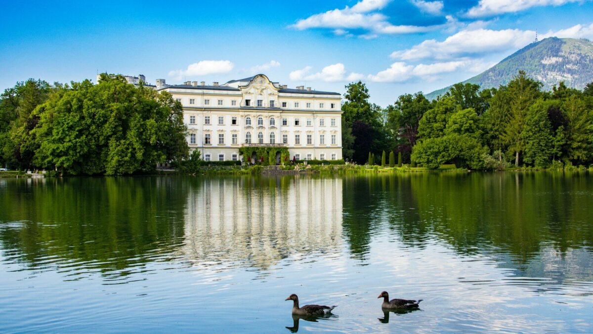Photo by Sanja Lazic two ducks are swimming in a lake in front of a large building