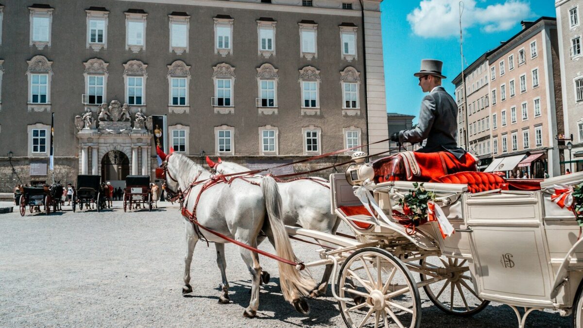 Photo by Yasen Iliev man riding on carriage